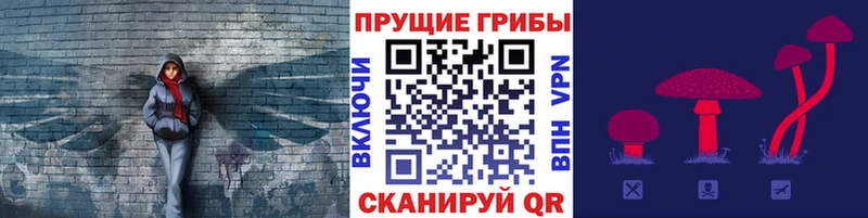 hydra рабочий сайт  сайты даркнета телеграм  Псилоцибиновые грибы Psilocybe  Отрадная 